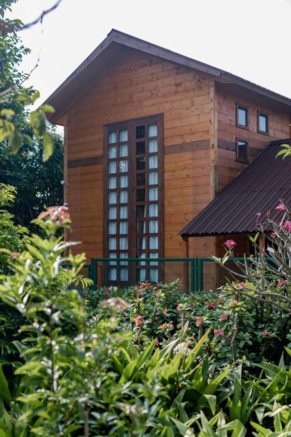 The Pine Loft Vila Bangalore Exterior foto